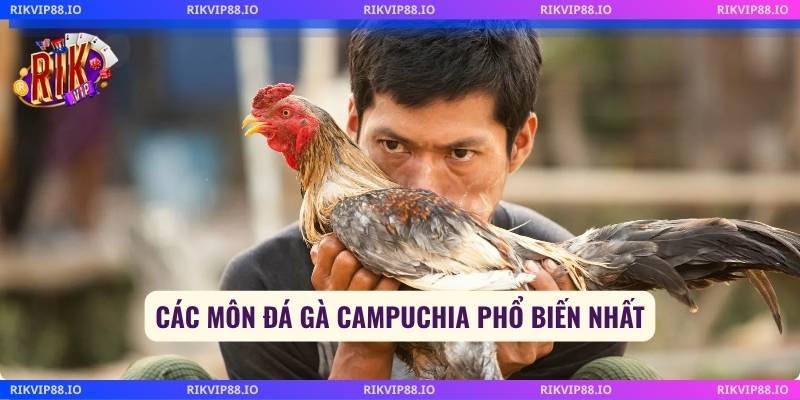 Các môn đá gà campuchia phổ biến nhất