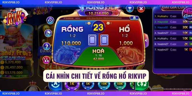 Cái nhìn chi tiết về rồng hổ Rikvip