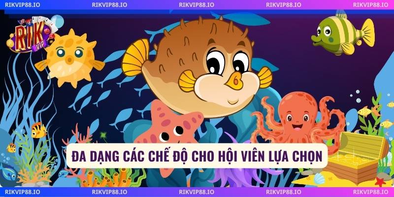 Đa dạng các chế độ cho hội viên lựa chọn