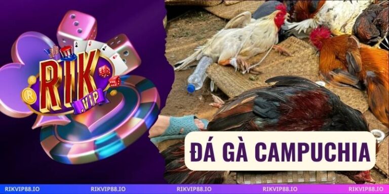 Đá Gà Campuchia