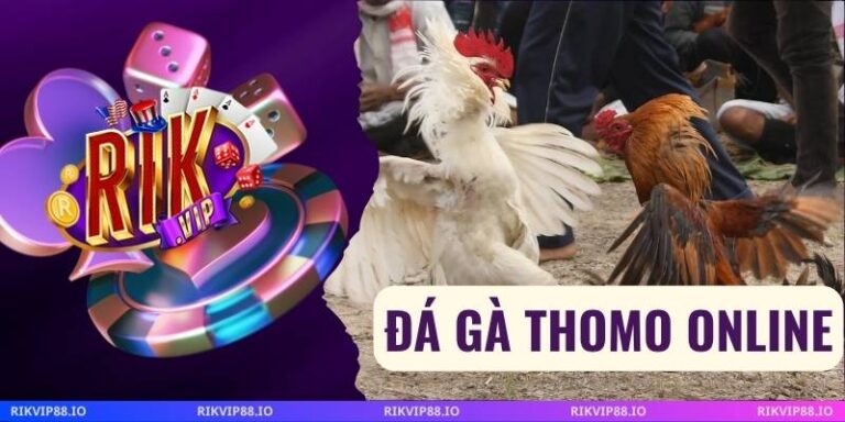 Đá Gà Thomo Online
