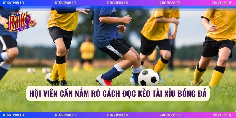 Hội viên cần nắm rõ cách đọc kèo tài xỉu bóng đá