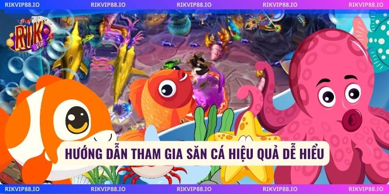 Hướng dẫn tham gia săn cá hiệu quả dễ hiểu