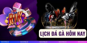 Lịch Đá Gà Hôm Nay