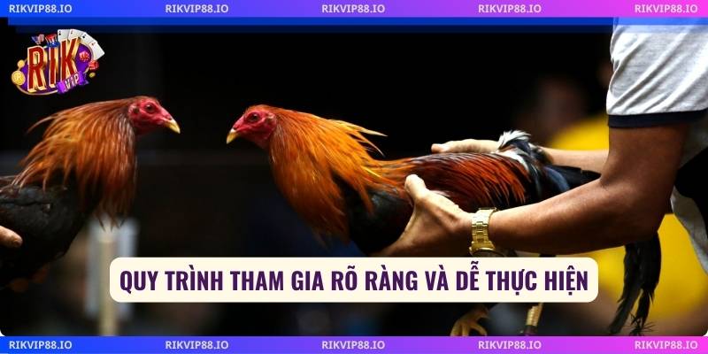 Quy trình tham gia rõ ràng và dễ thực hiện