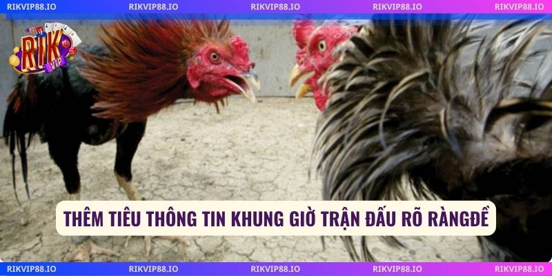 Thông tin khung giờ trận đấu rõ ràng