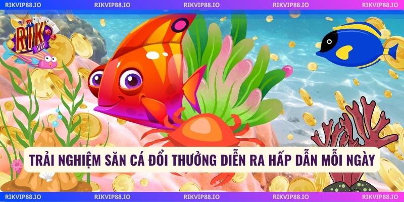 Trải nghiệm săn cá đổi thưởng diễn ra hấp dẫn mỗi ngày