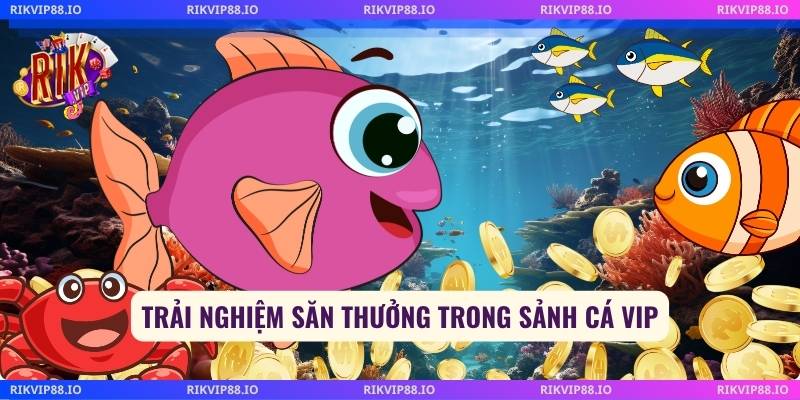 Trải nghiệm săn thưởng trong sảnh cá vip