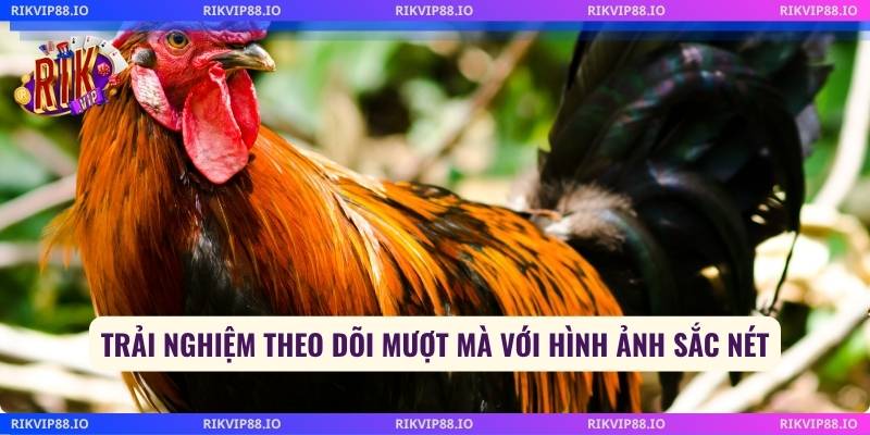 Trải nghiệm theo dõi mượt mà với hình ảnh sắc nét