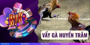 Vẩy Gà Huyền Trâm