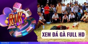 Xem Đá Gà Full HD