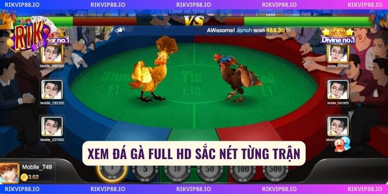 Xem đá gà full HD sắc nét từng trận
